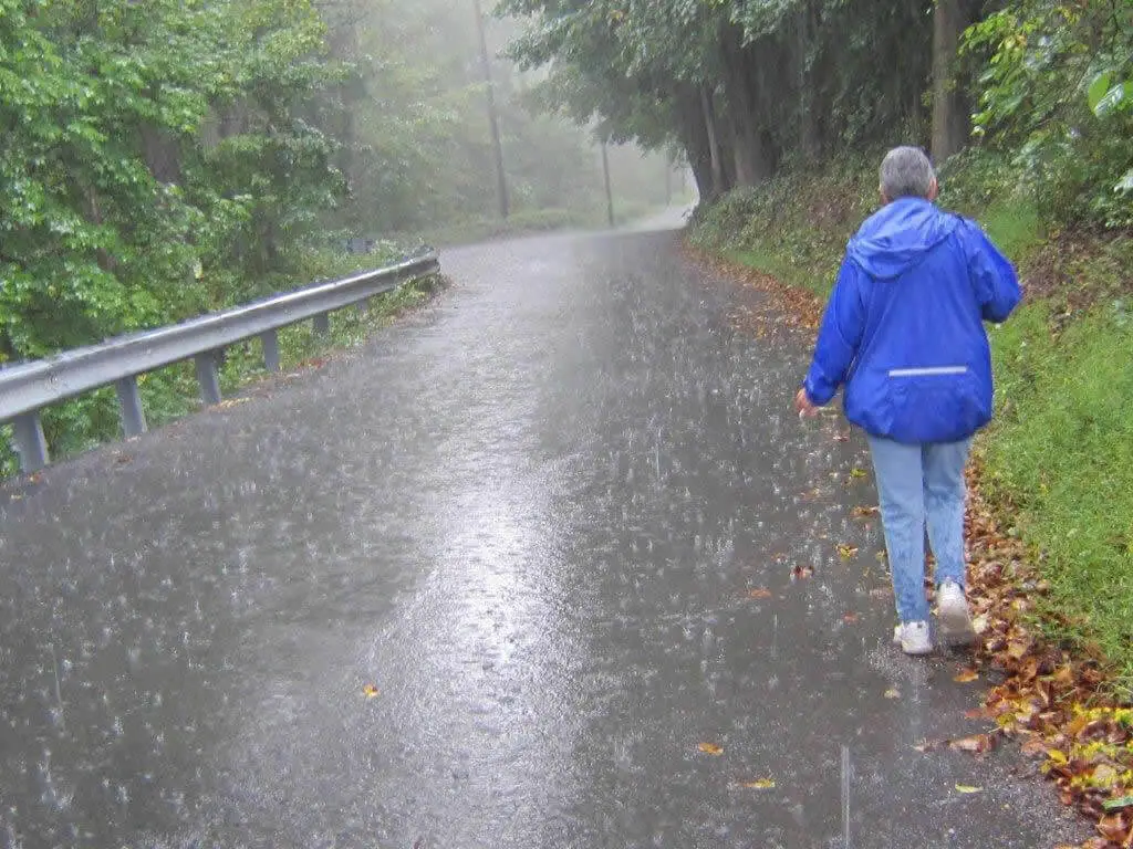 Alice Oldford on a rainy day hike, capturing the quiet beauty of the trail in wet weather