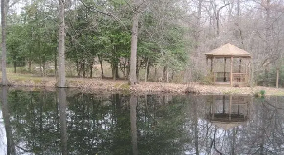 Open meadow and tree canopy at the Arboretum, a family-friendly hiking destination in New Jersey